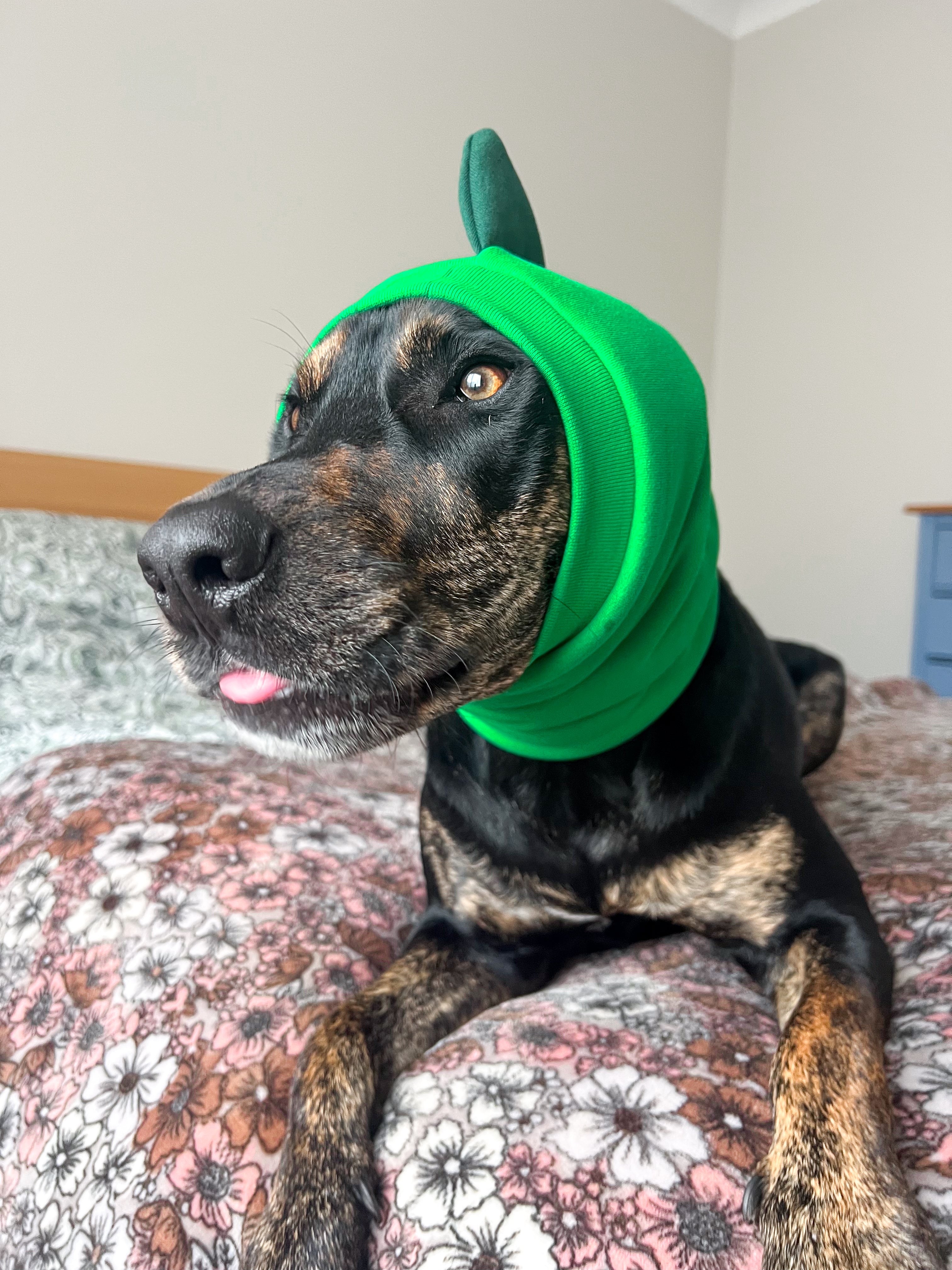 Green Dinosaur Snood Dog Costume