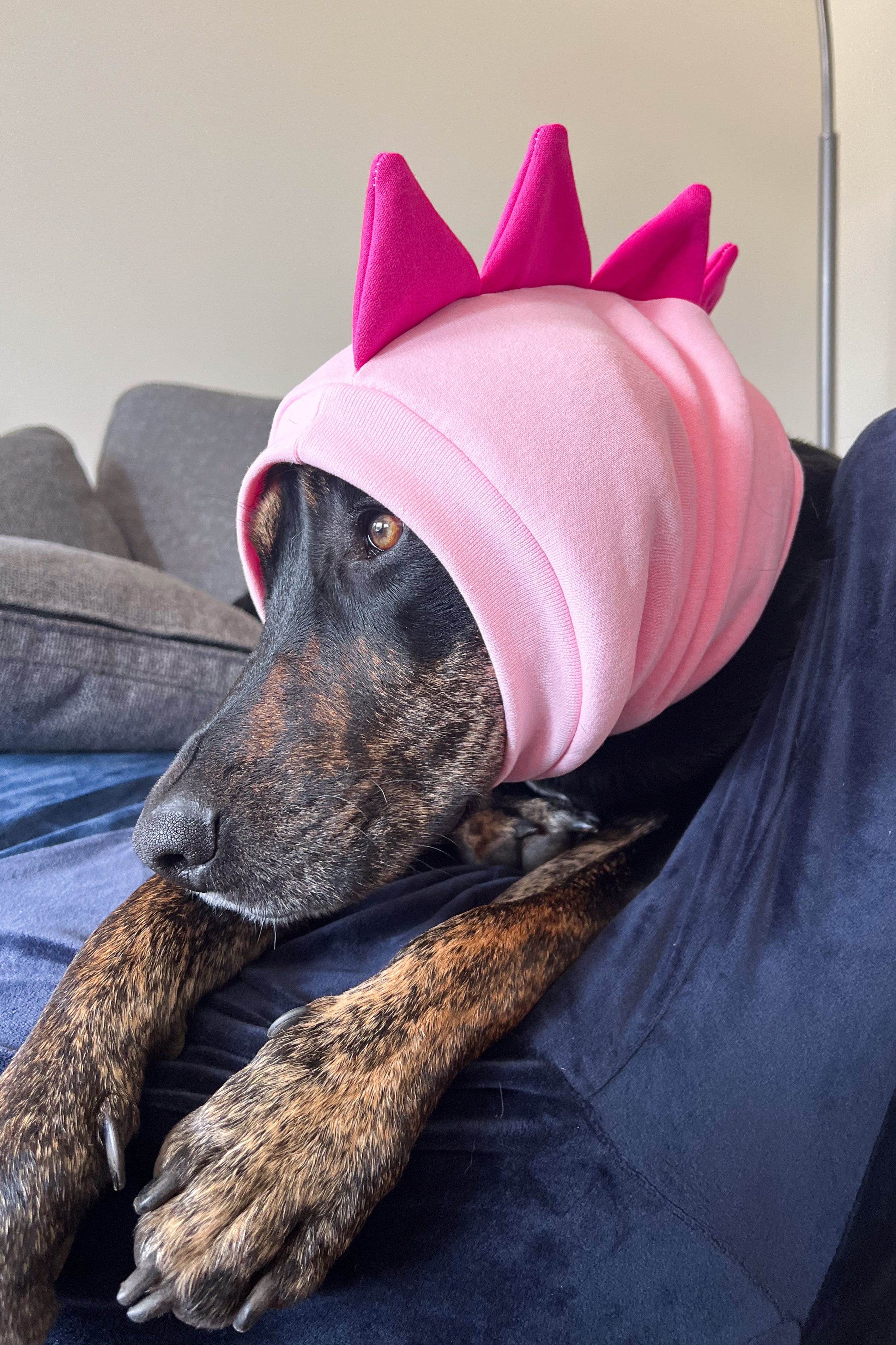 Pink Dinosaur Snood Dog Costume