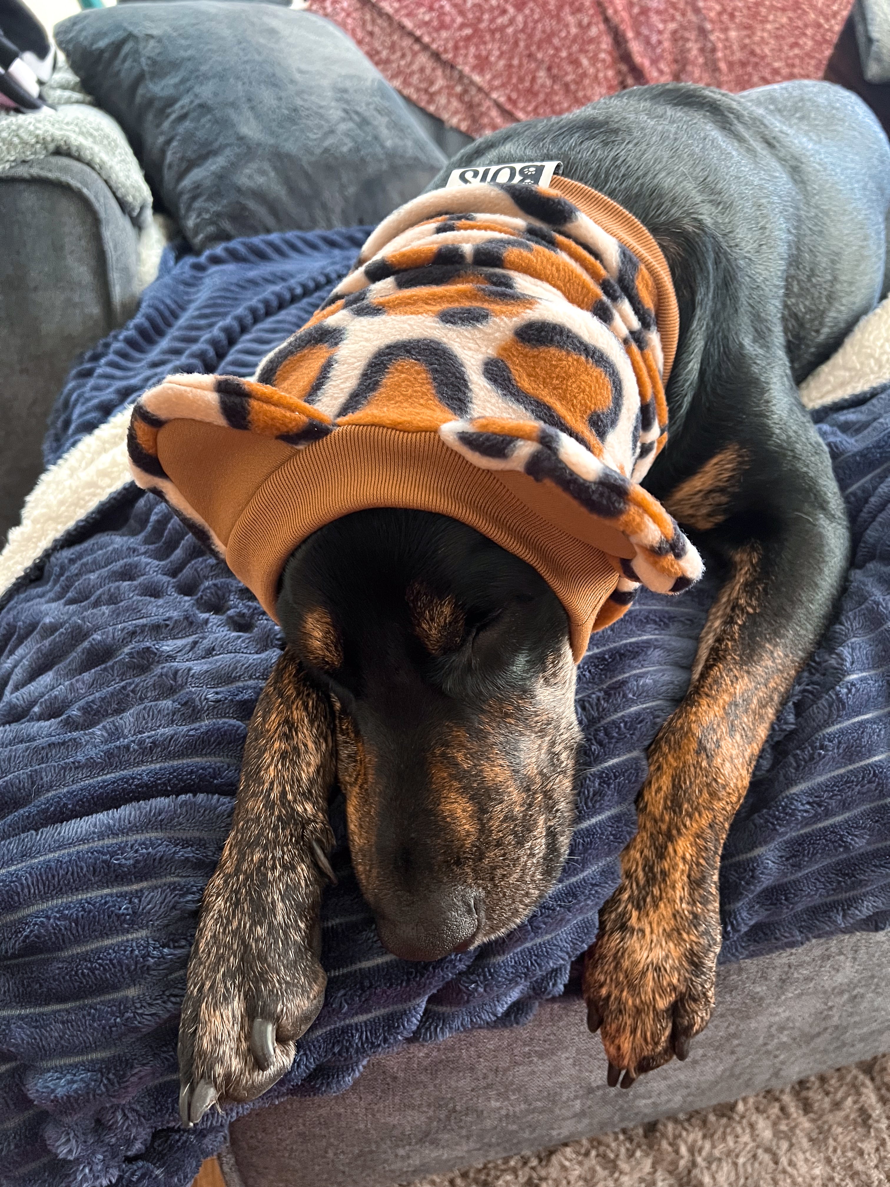 Cheetah Leopard Snood Dog Costume