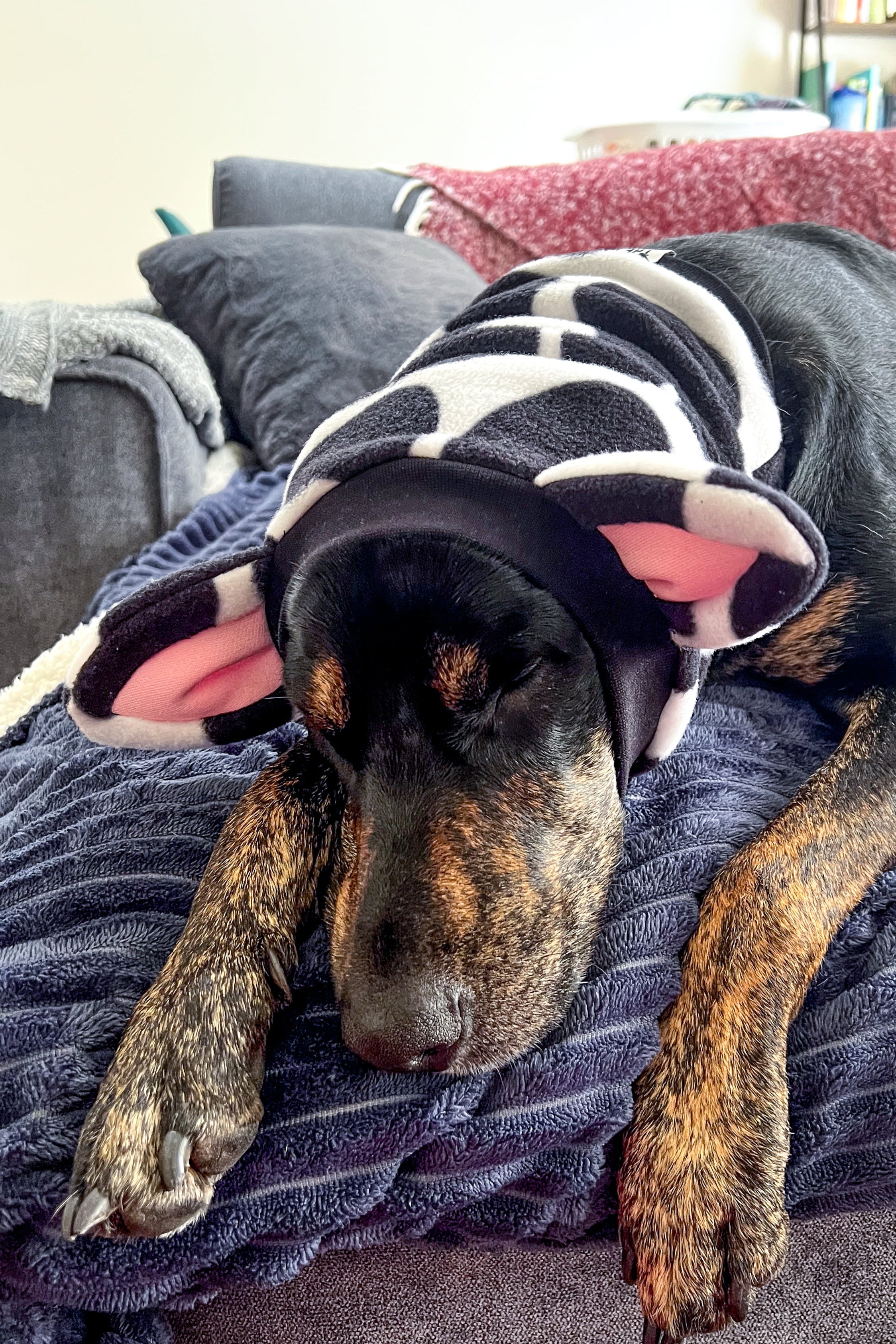 Cow Snood Dog Costume