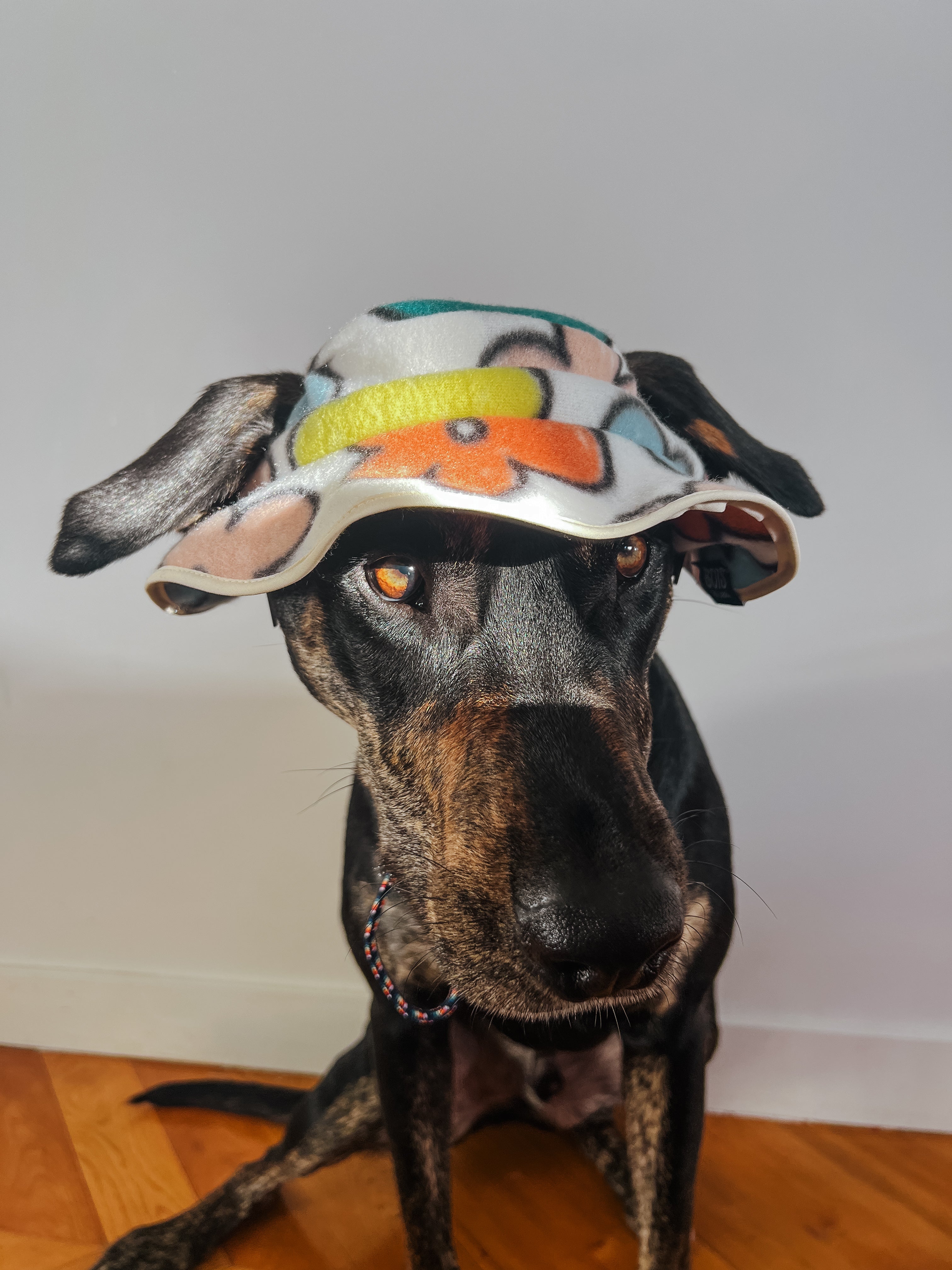 Flower Power Fleece Dog Bucket Hat