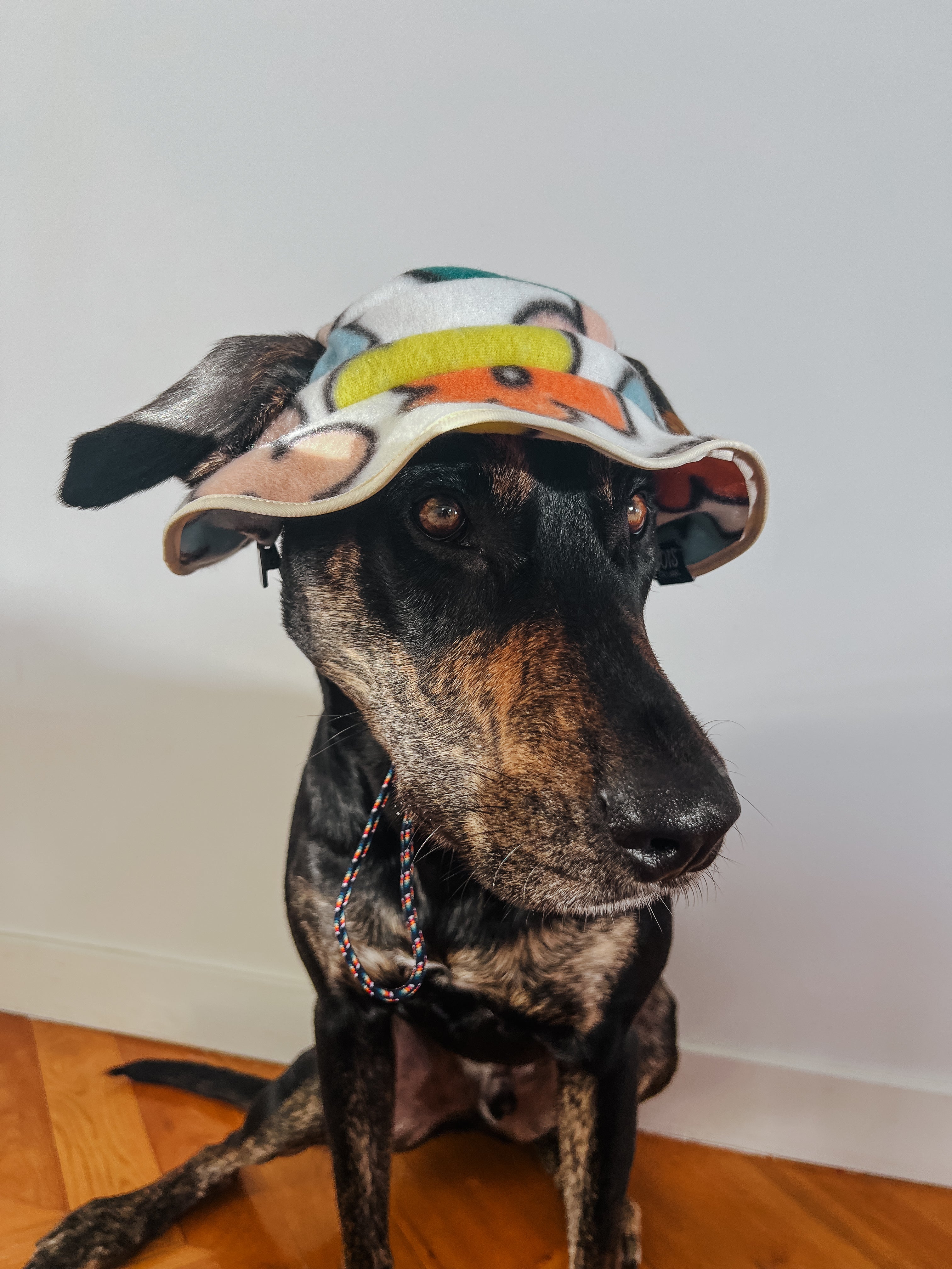 Flower Power Fleece Dog Bucket Hat
