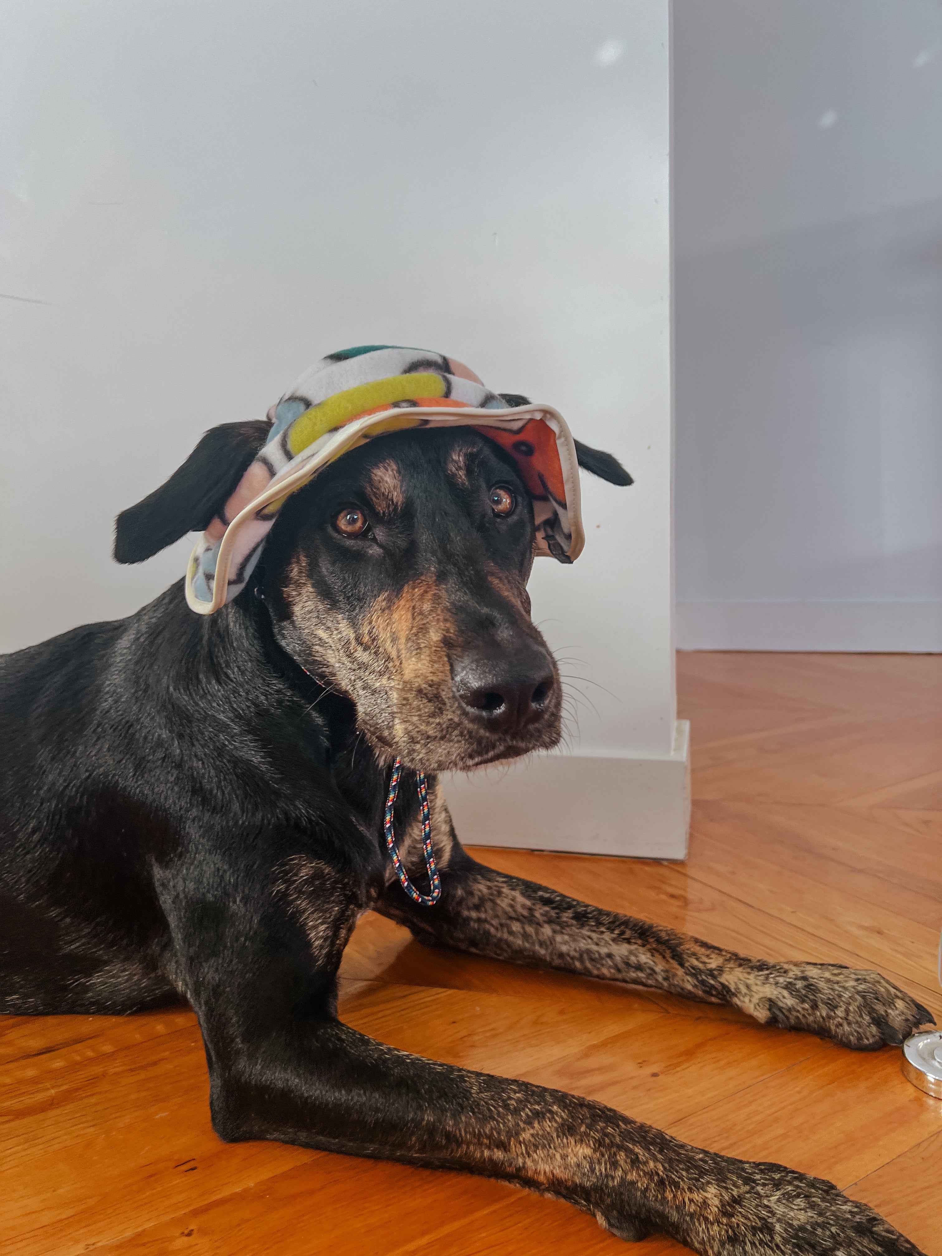 Flower Power Fleece Dog Bucket Hat