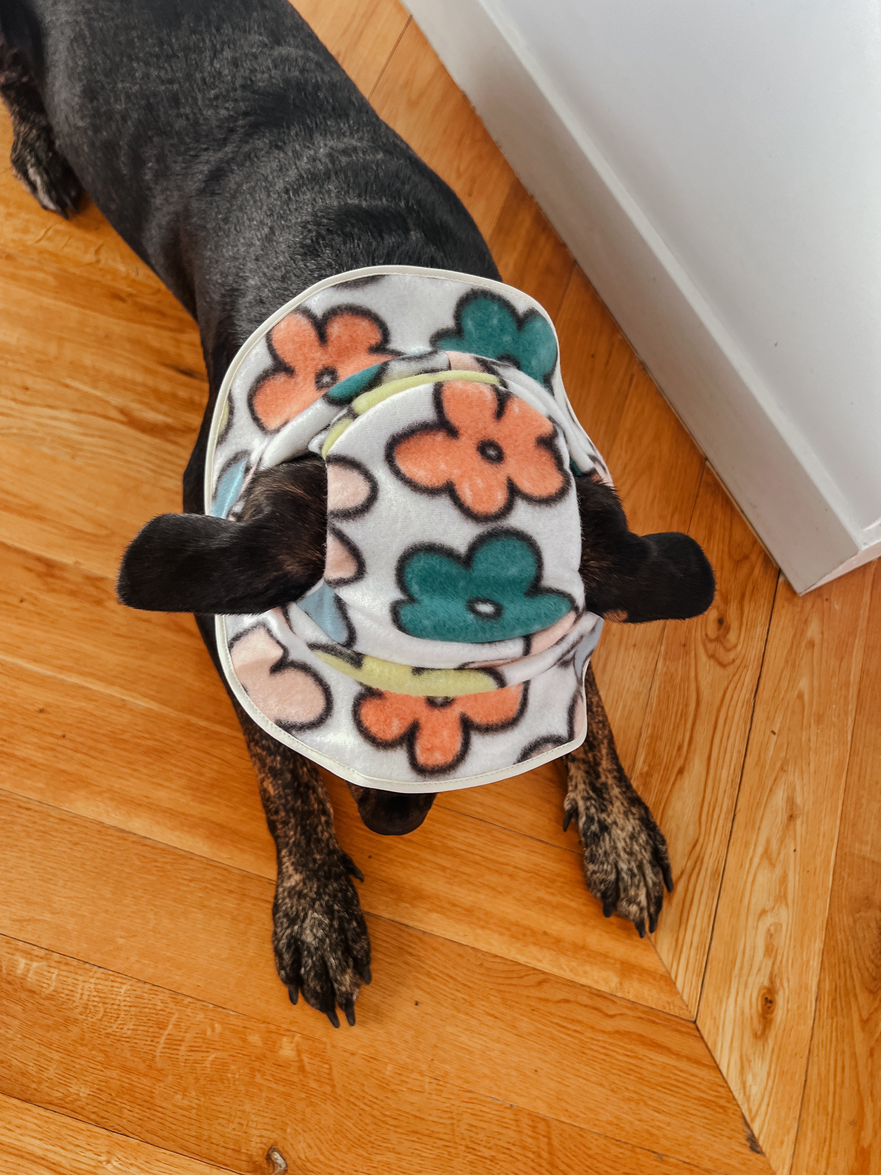 Flower Power Fleece Dog Bucket Hat