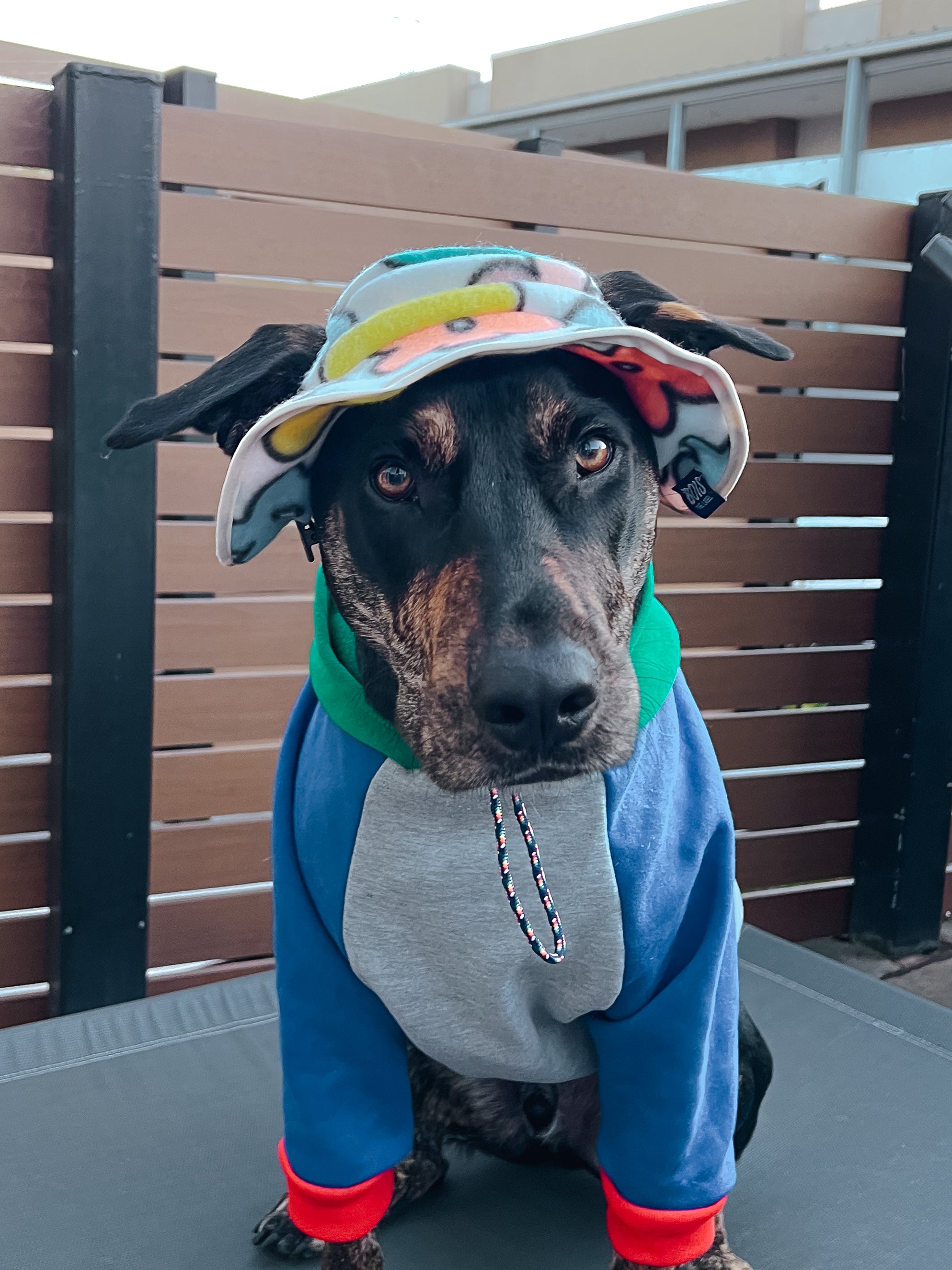 Flower Power Fleece Dog Bucket Hat