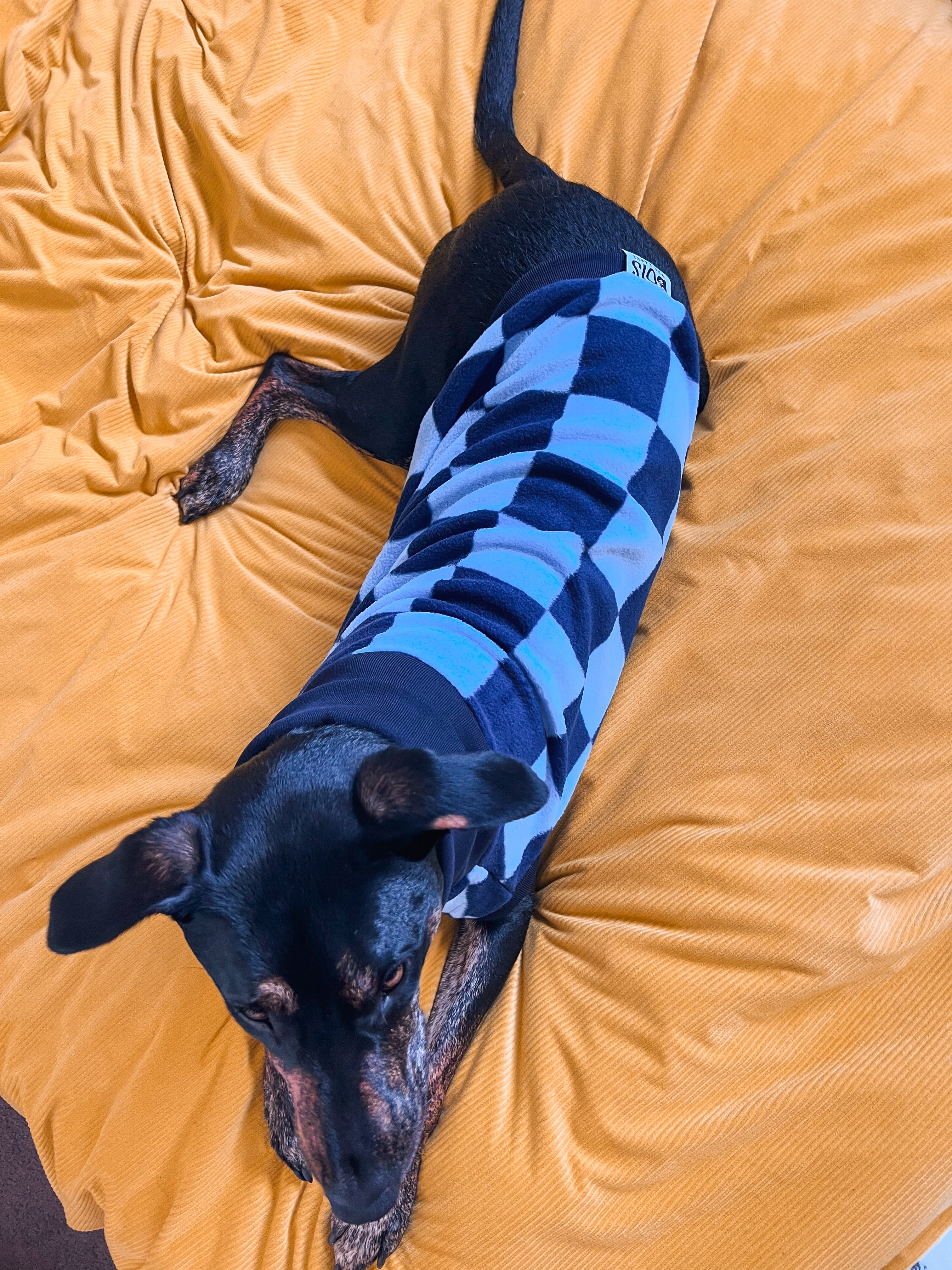 Blueberry Checker Sleeveless Dog Jumper