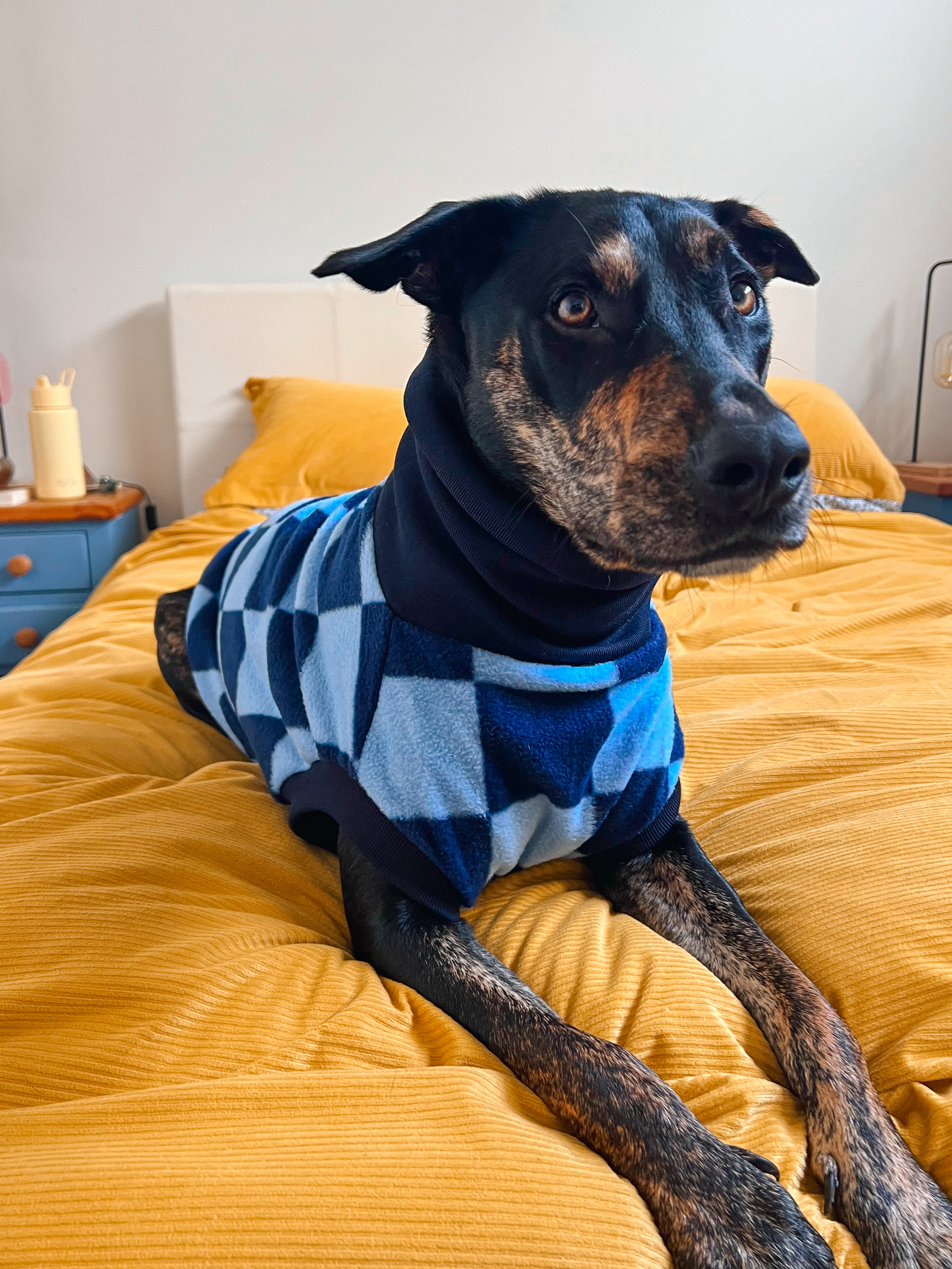 Blueberry Checker Sleeveless Dog Jumper