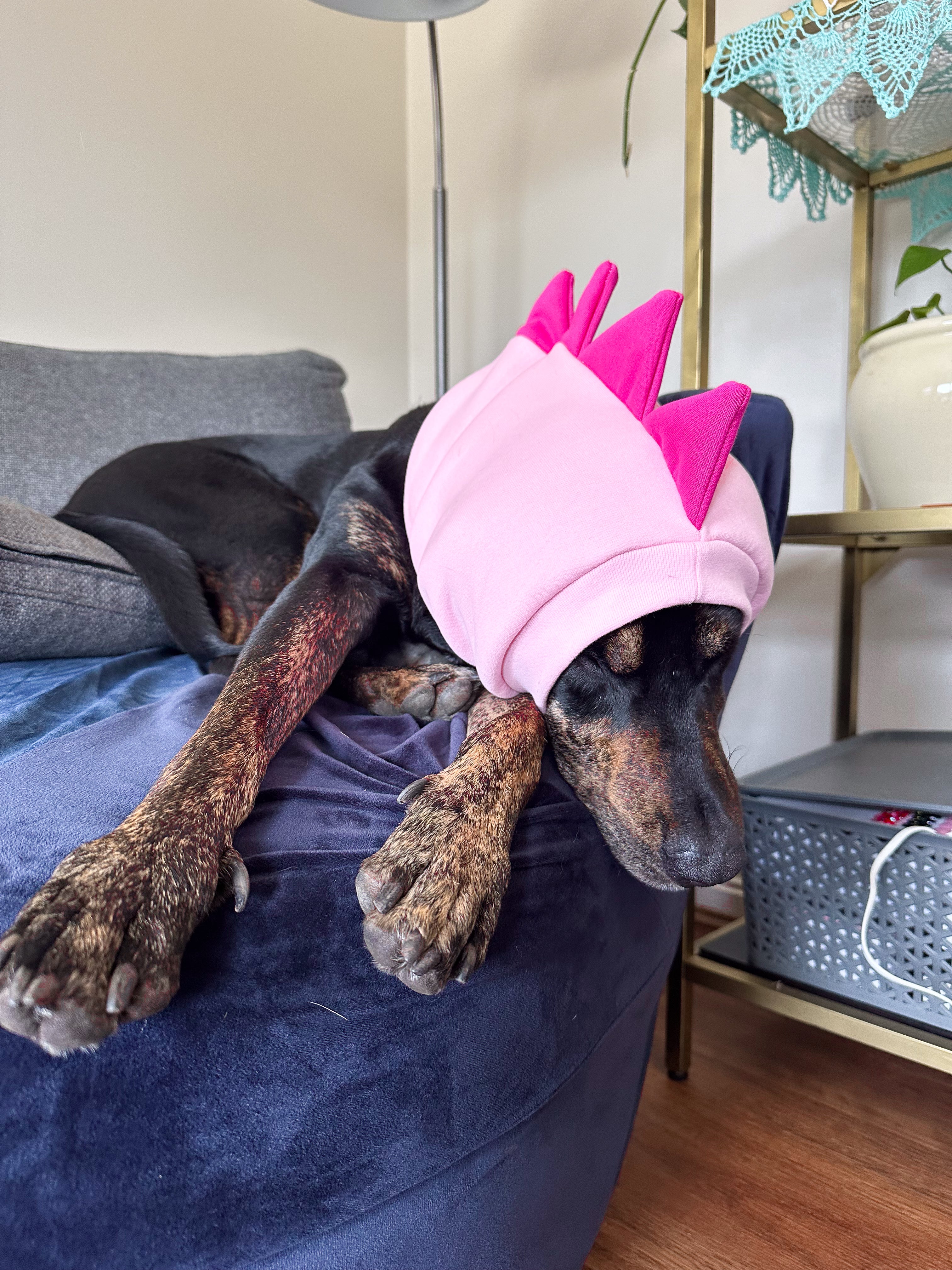 Pink Dinosaur Snood Dog Costume