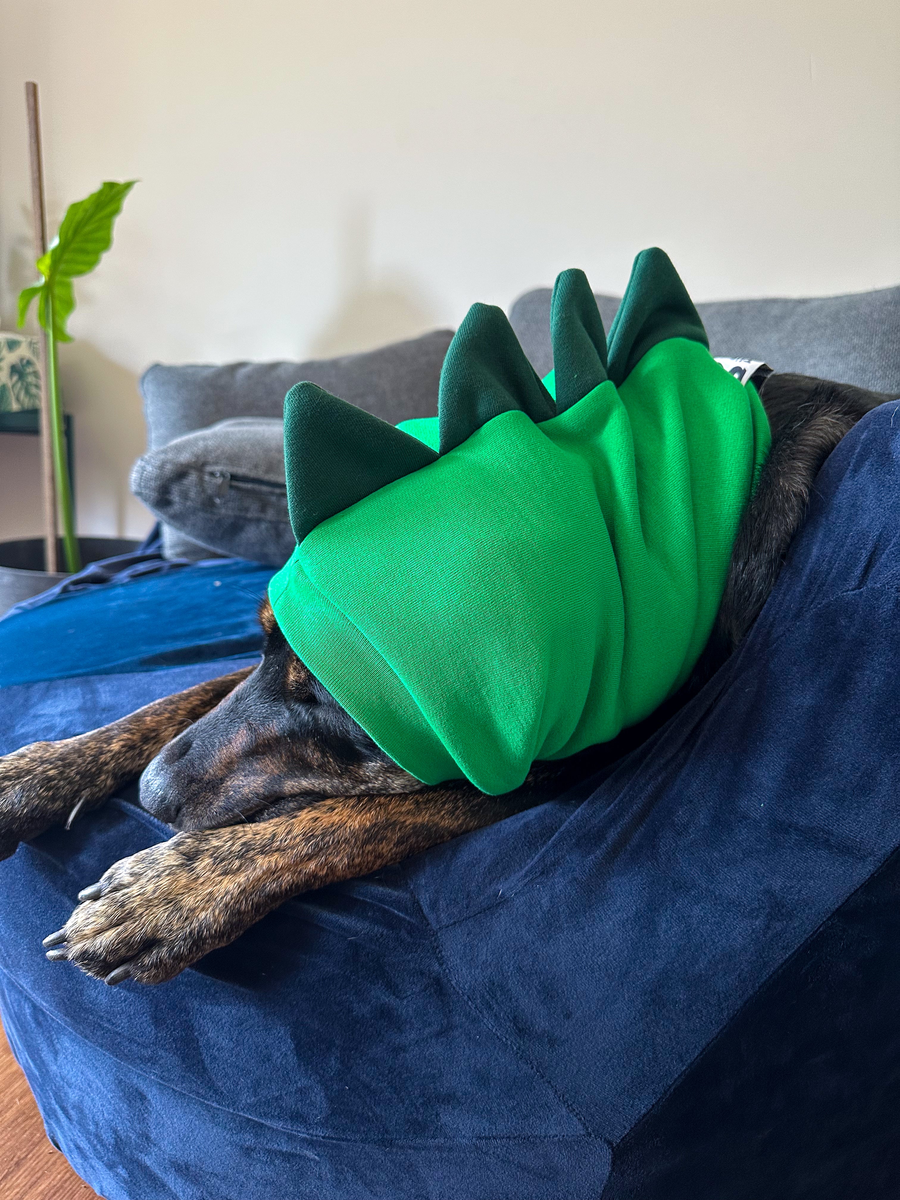 Green Dinosaur Snood Dog Costume