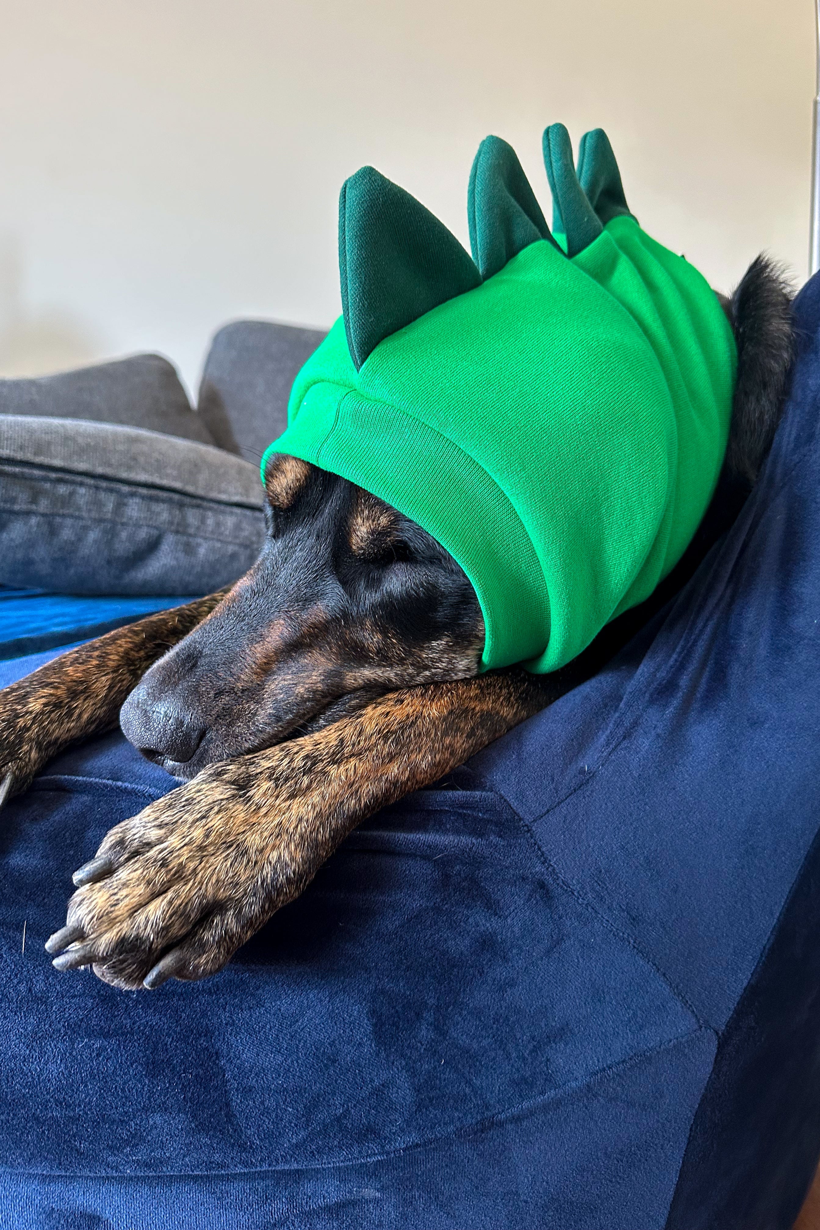 Green Dinosaur Snood Dog Costume