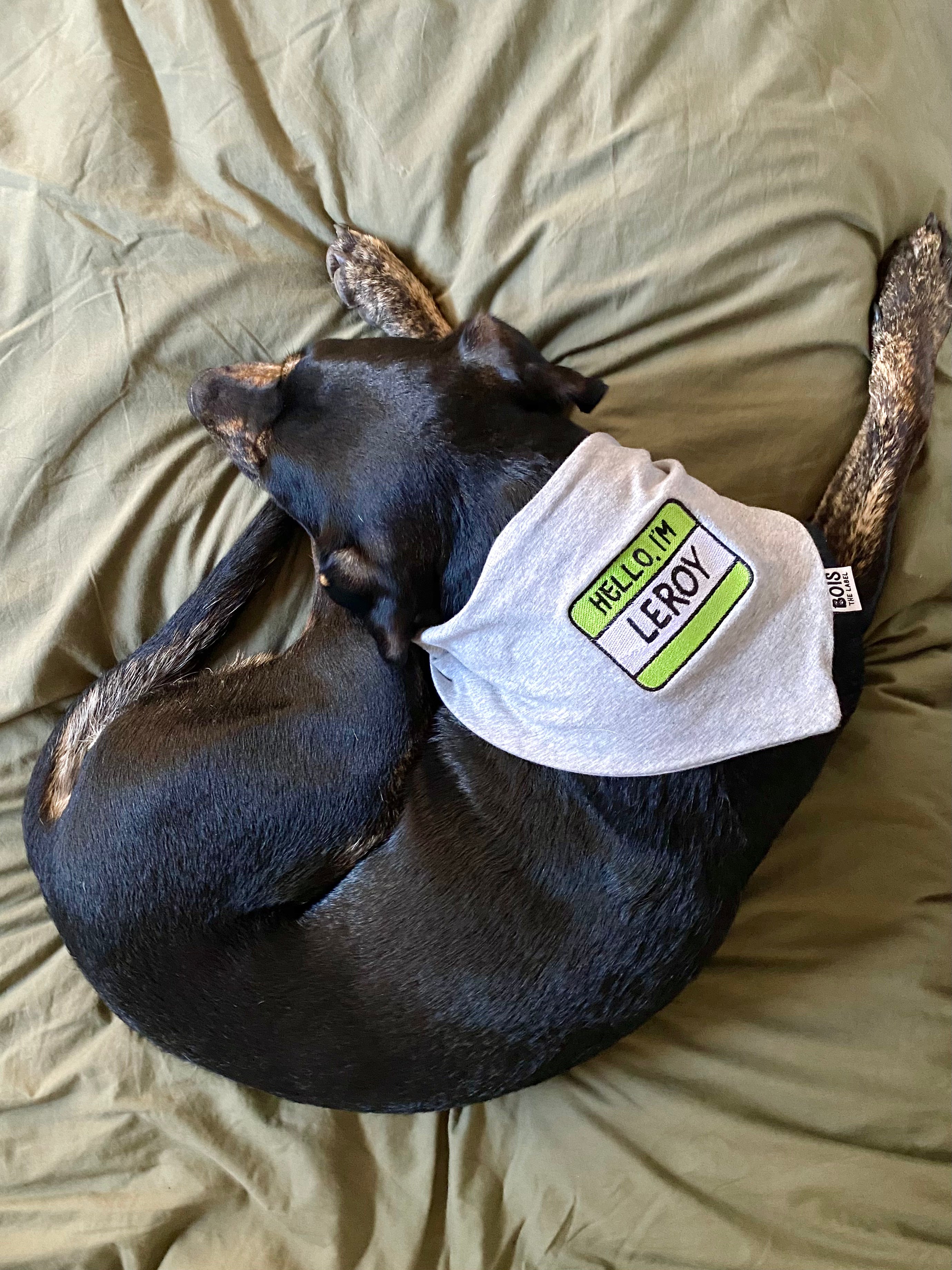 Custom Name Tag Dog Bandana