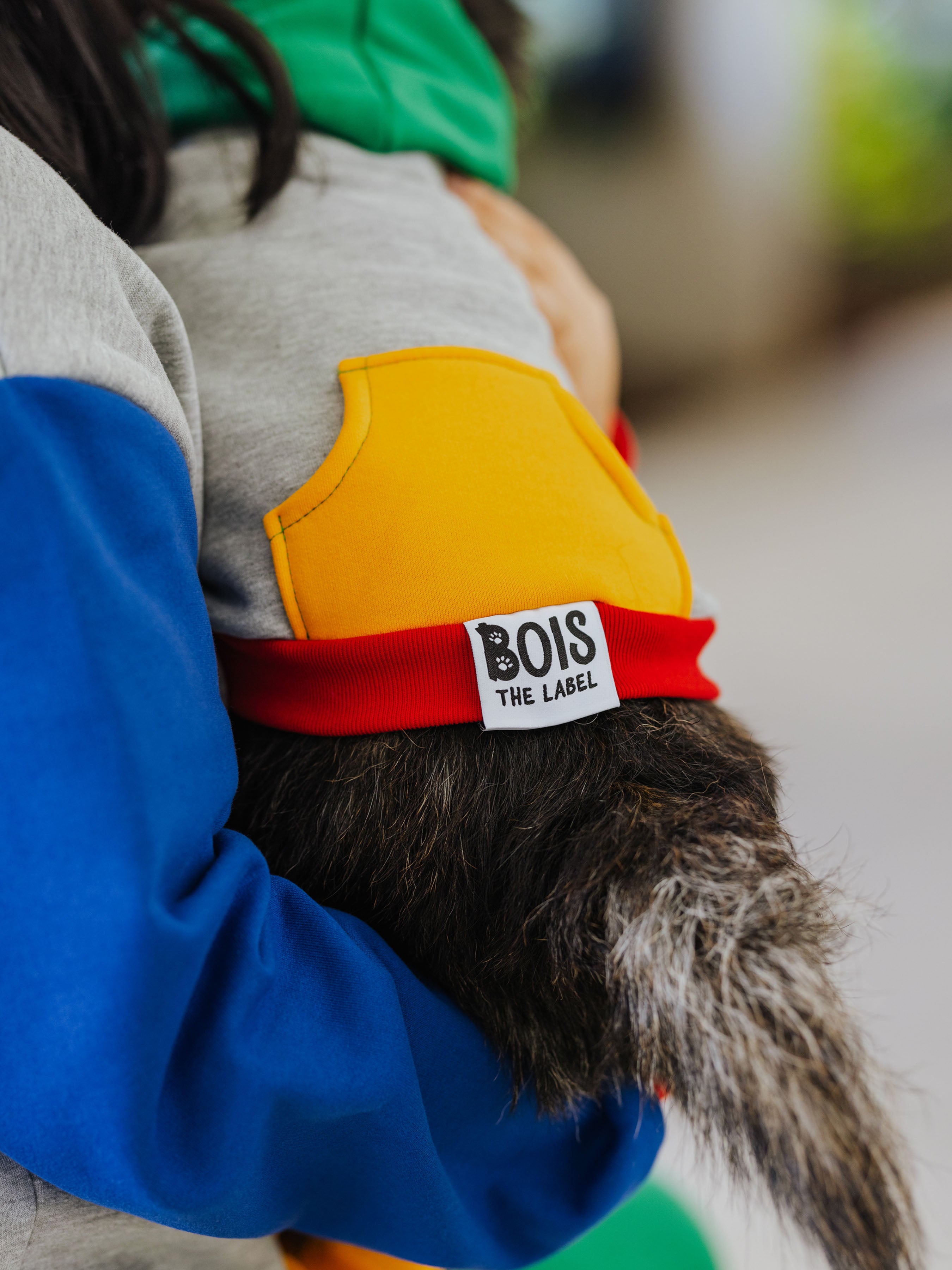 Fresh Pawrince Hoodie