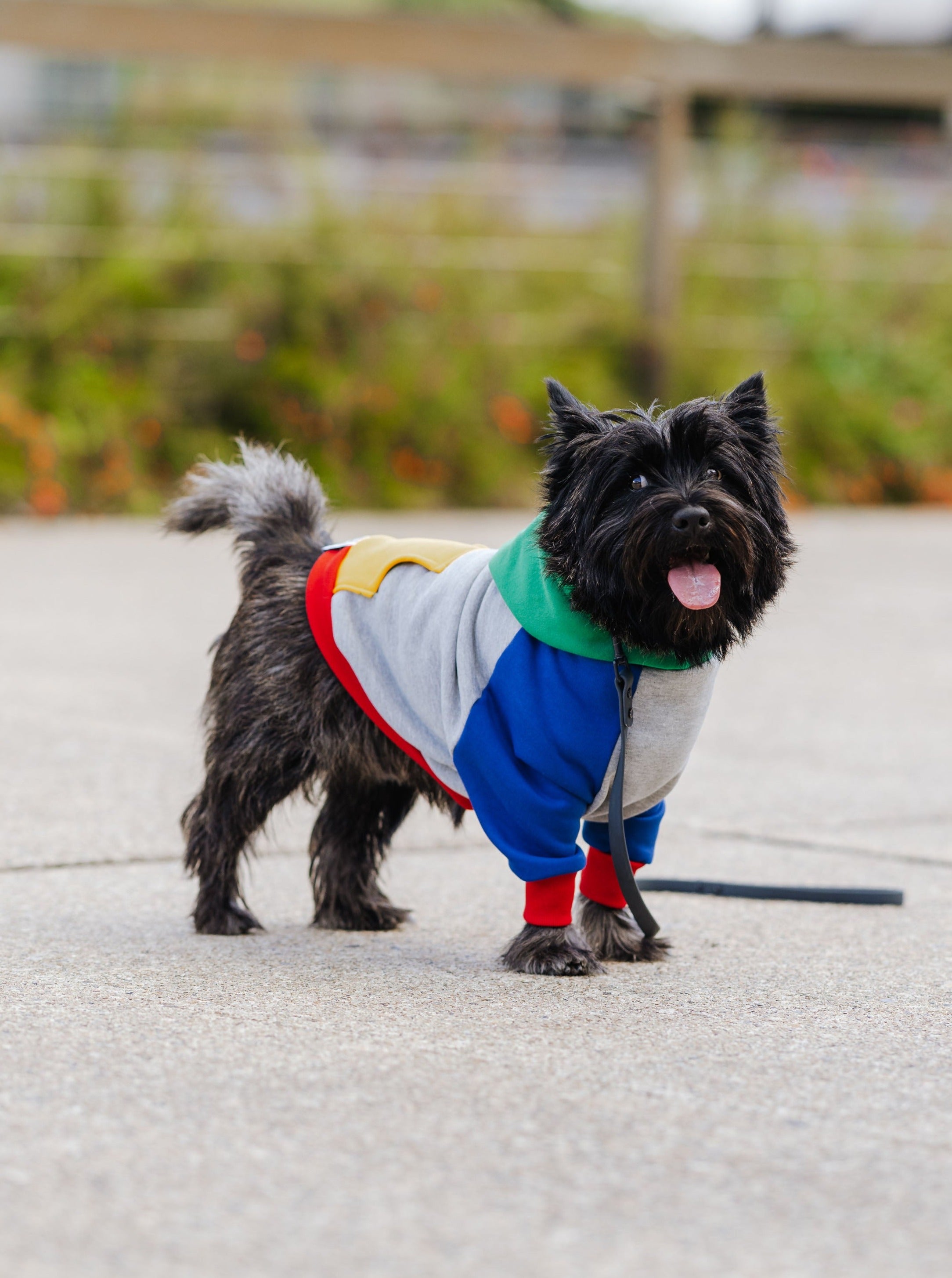 Fresh Pawrince Hoodie