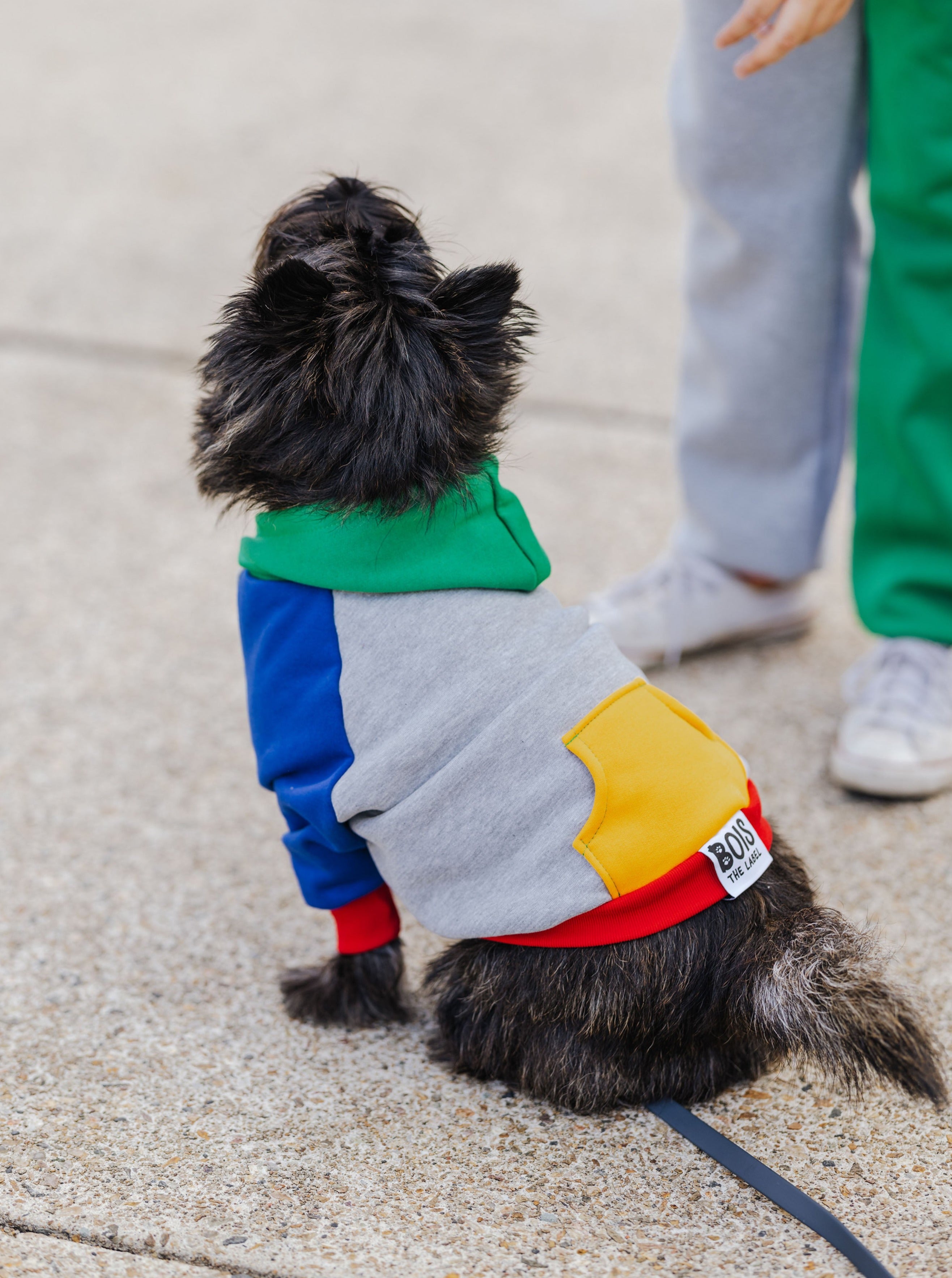 Fresh Pawrince Hoodie