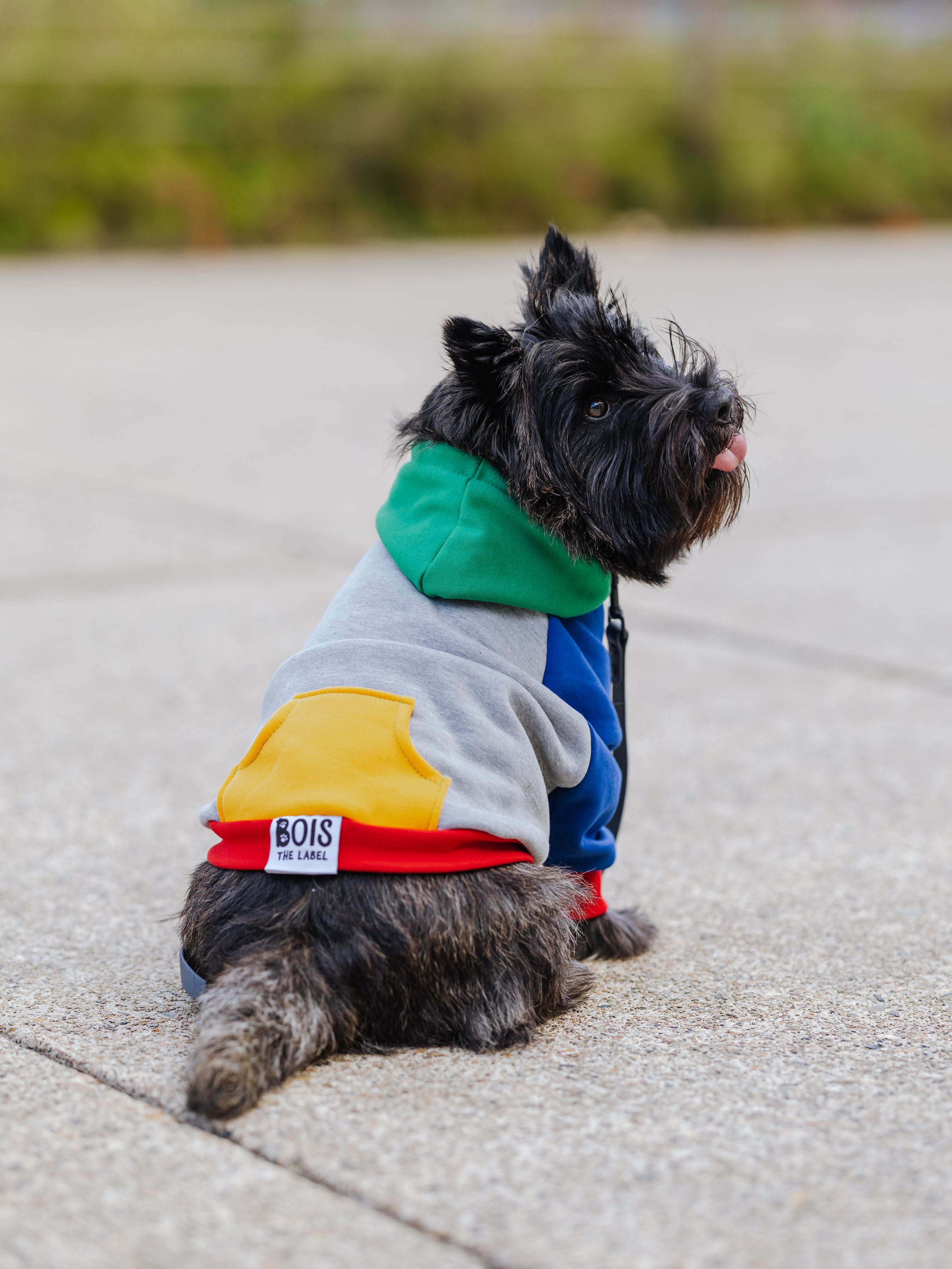 Fresh Pawrince Hoodie