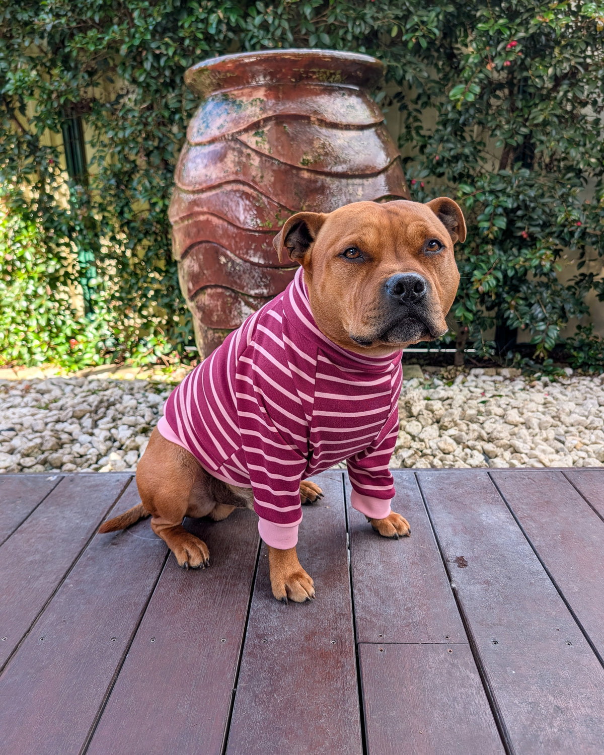 Jersey de cuello alto para perro Rayas en abundancia