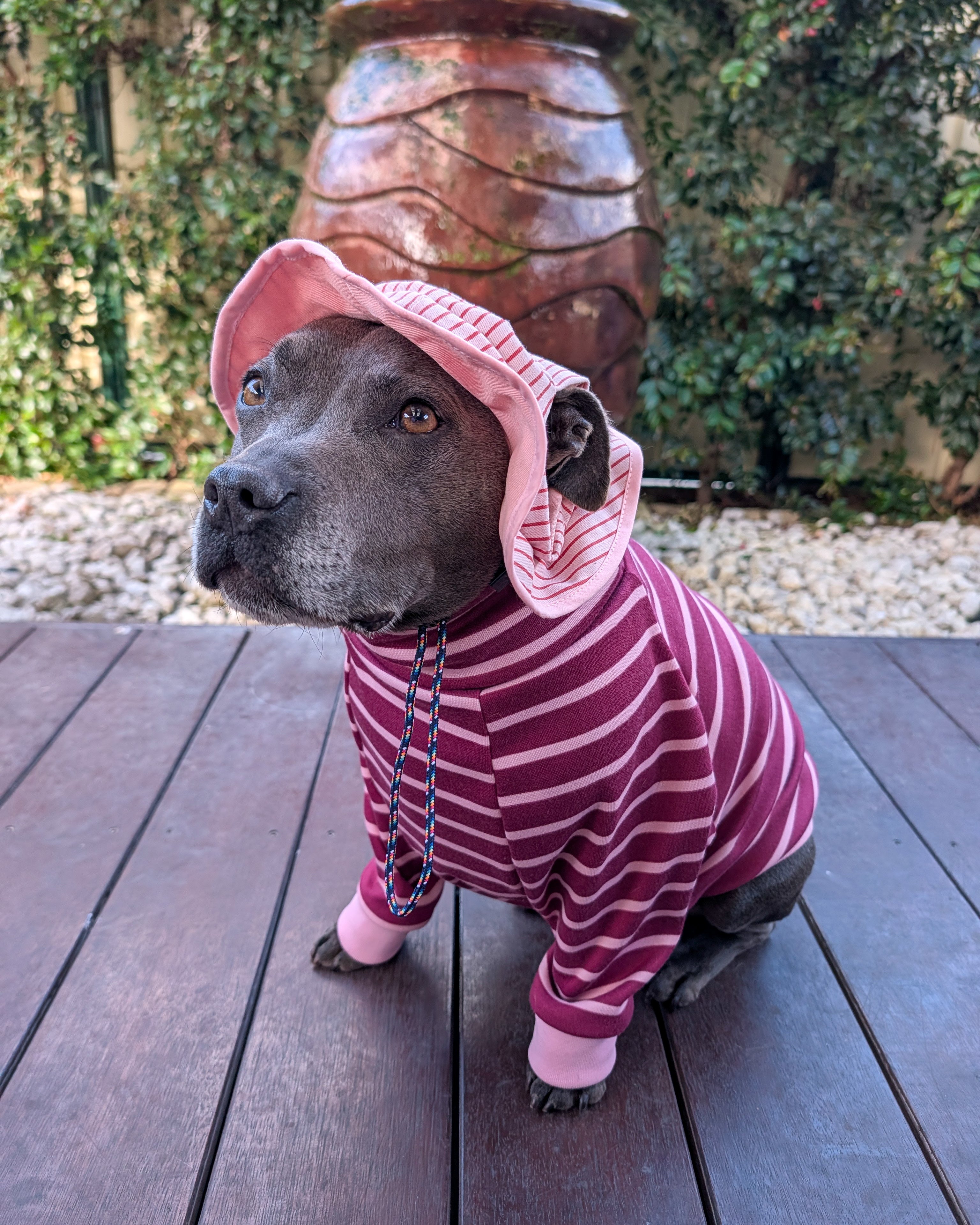 Sombrero de cubo reversible Gingham Dog