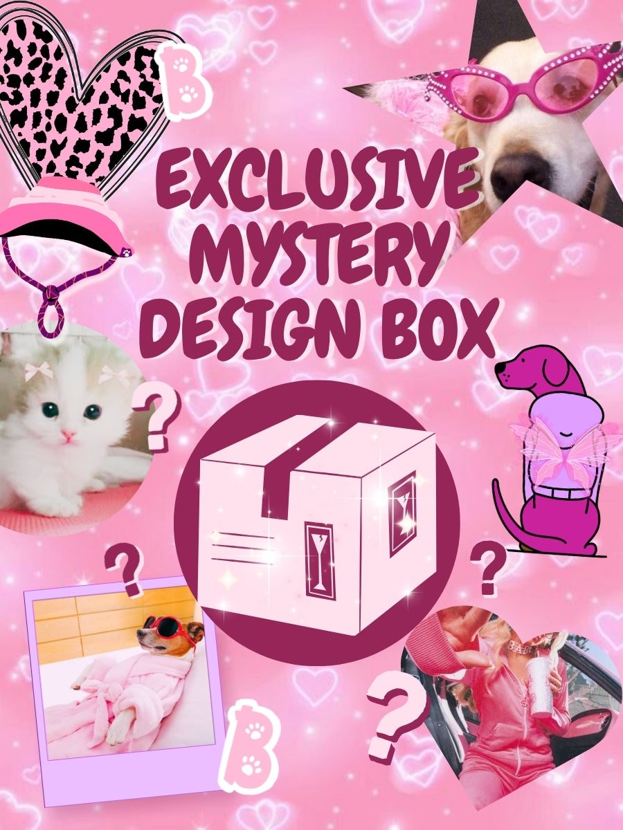 EXCLUSIVE DESIGN MYSTERY BOX (SHIP JULY 22)