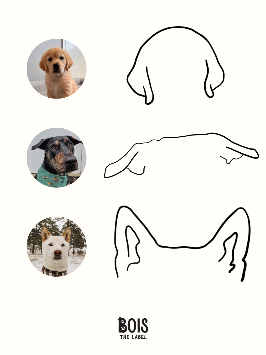ADD ON: Pet Ear Line Drawing for other BOIS items