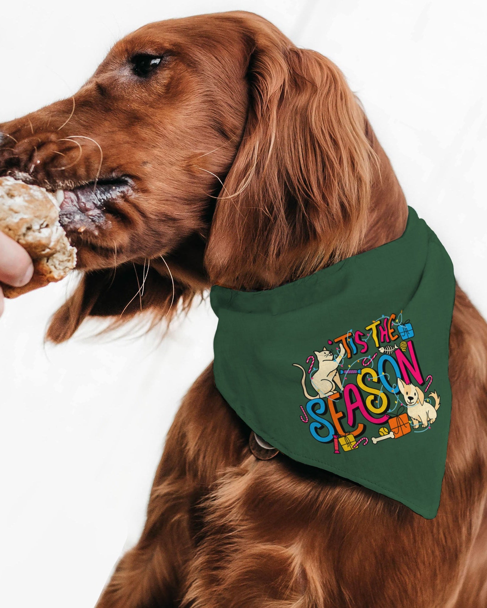 Medium Holiday Christmas Dog Bandana - Ready to Ship