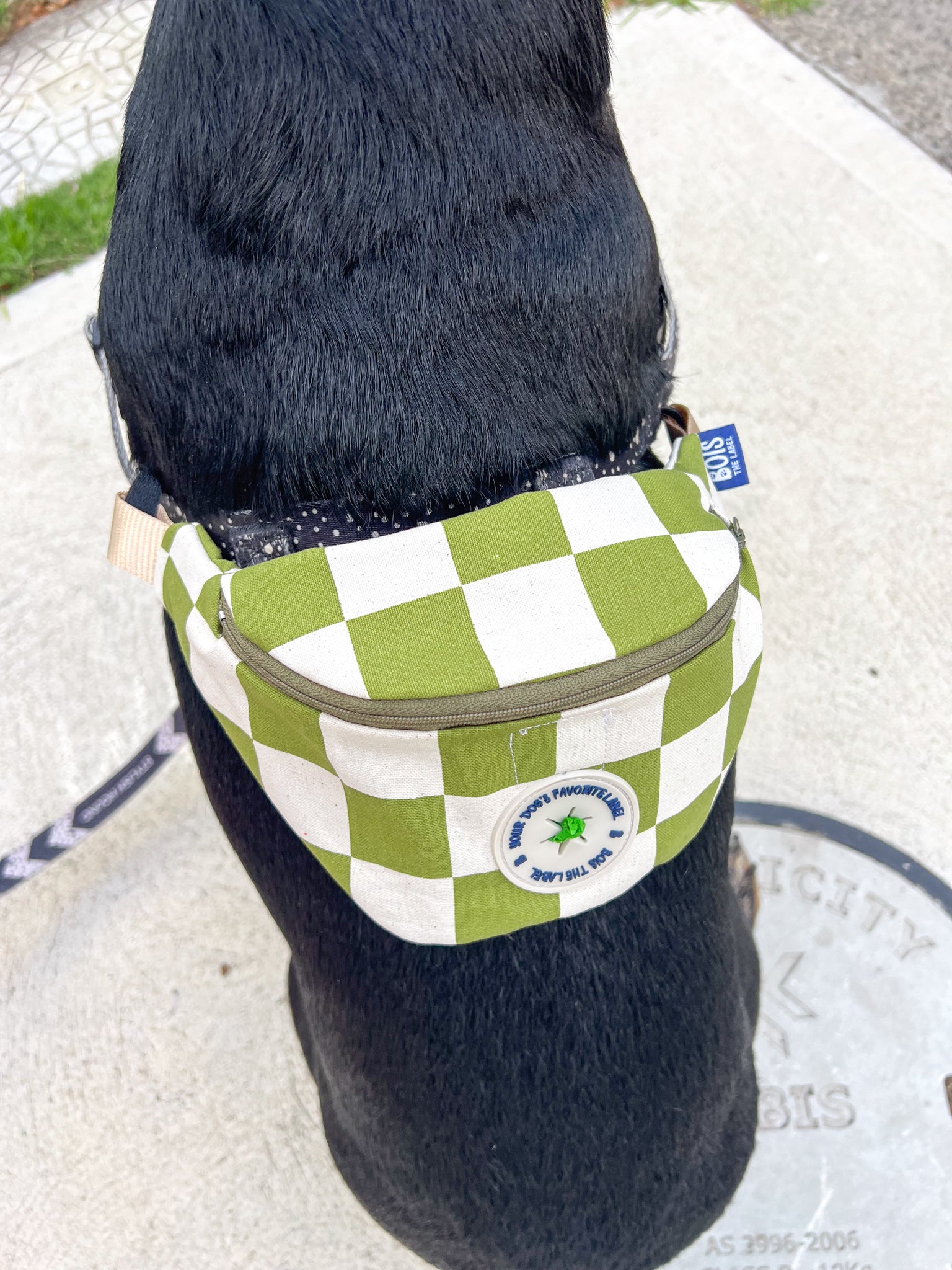 Doggy Bumbag - Green Checker