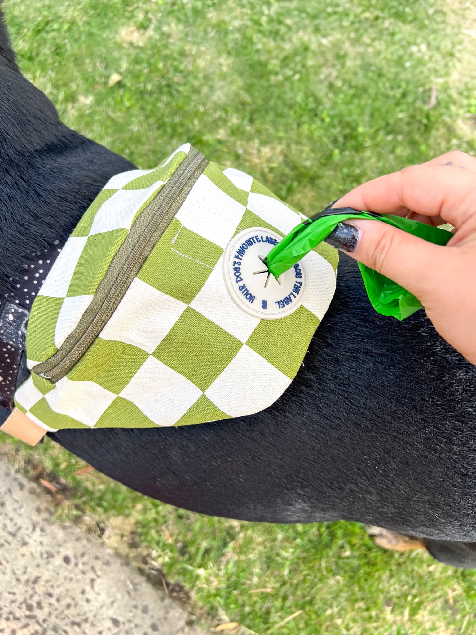 Doggy Bumbag - Green Checker