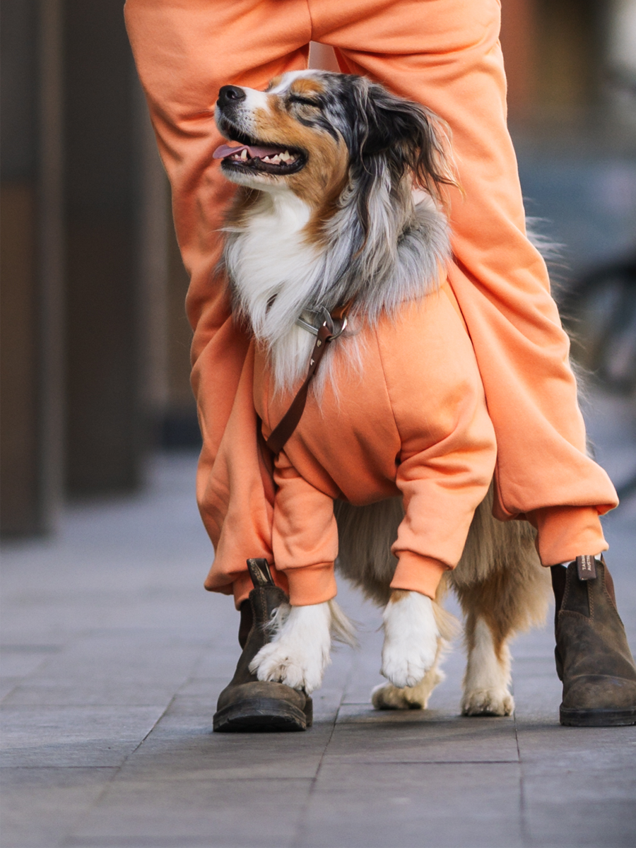 Orange is the New Bark Matching Set