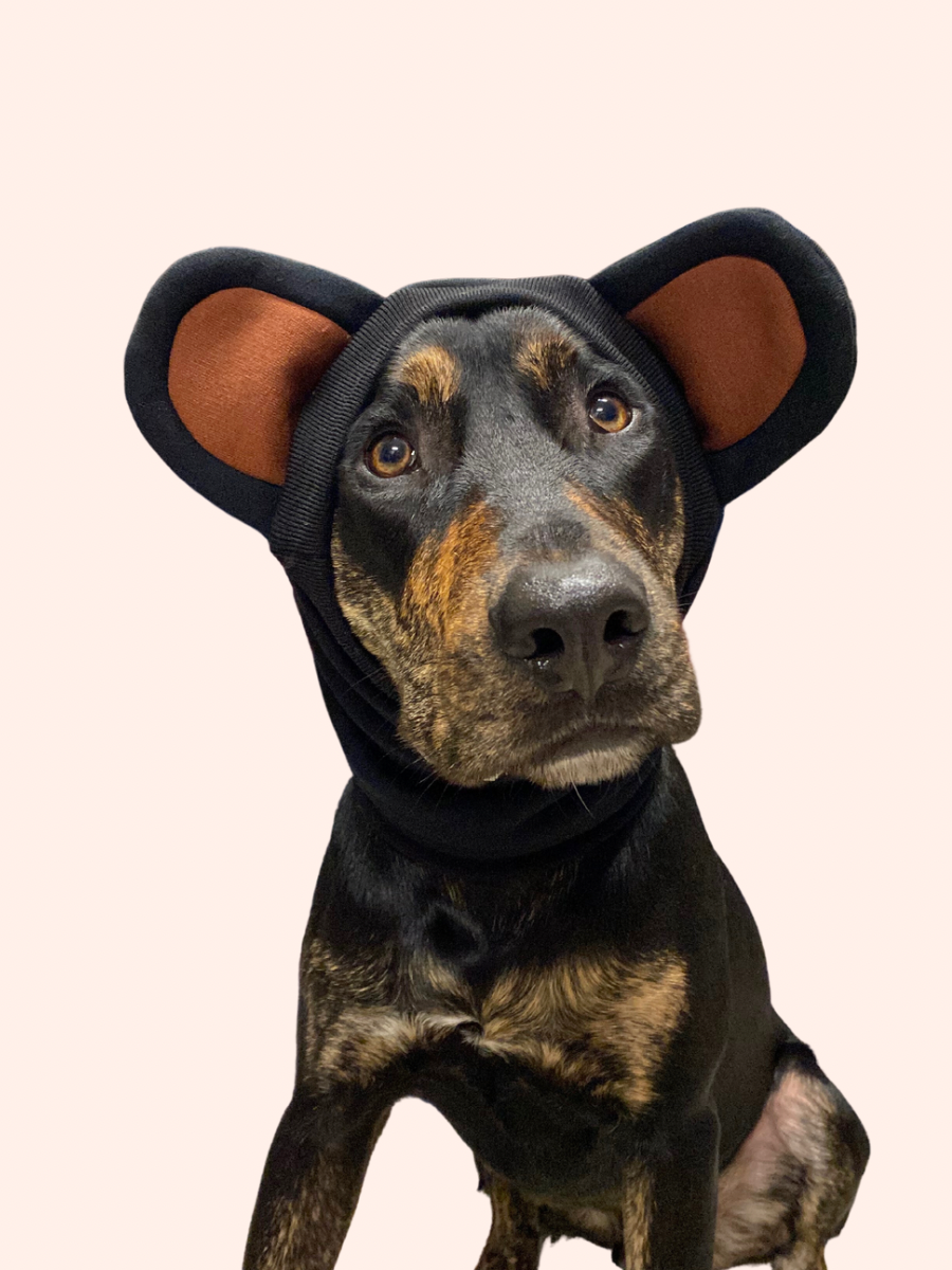 Bear Necessities Snood Dog Costume