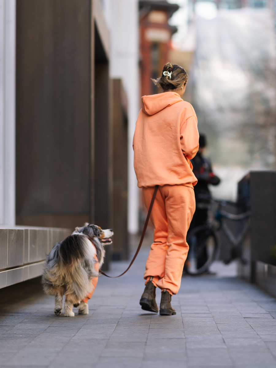 Orange is the New Bark Matching Set