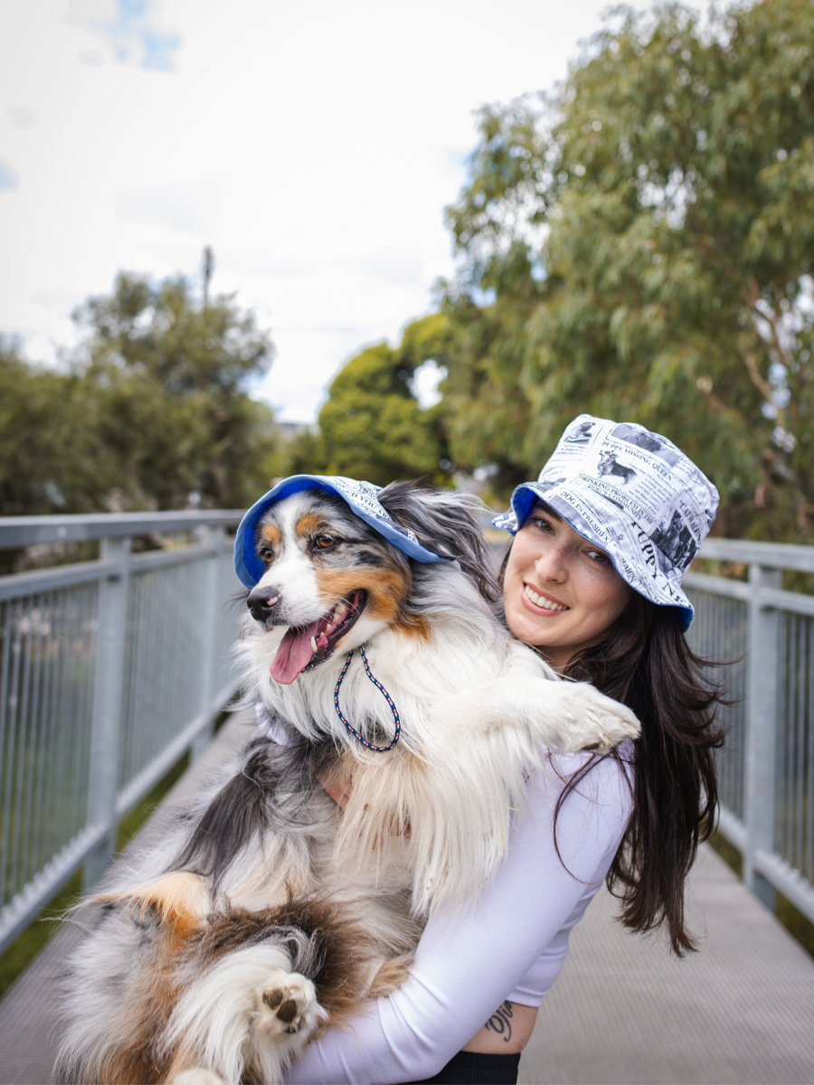 Matching Dog and Owner Puppy News Bucket Hats