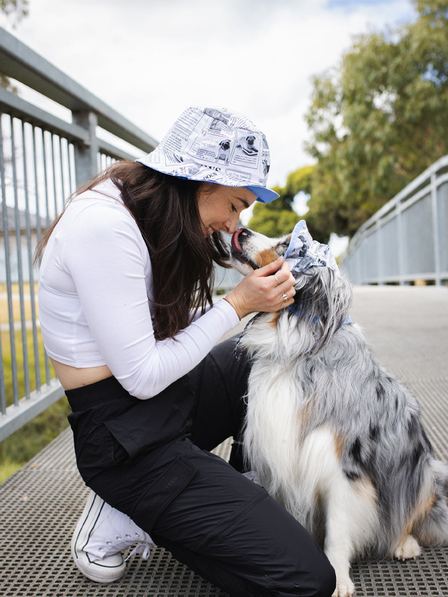 Matching Dog and Owner Puppy News Reversible Bucket Hats