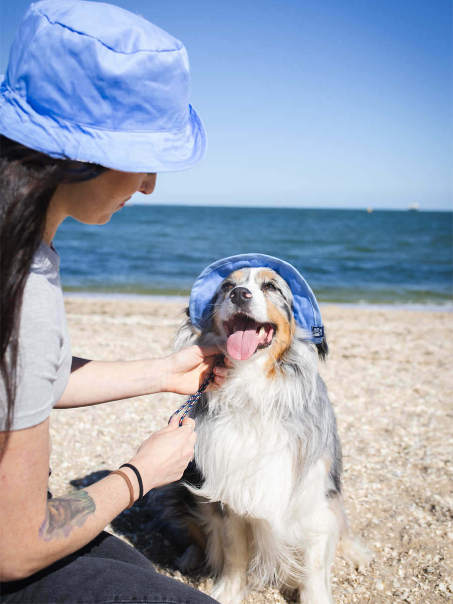 Matching Dog and Owner Puppy News Reversible Bucket Hats