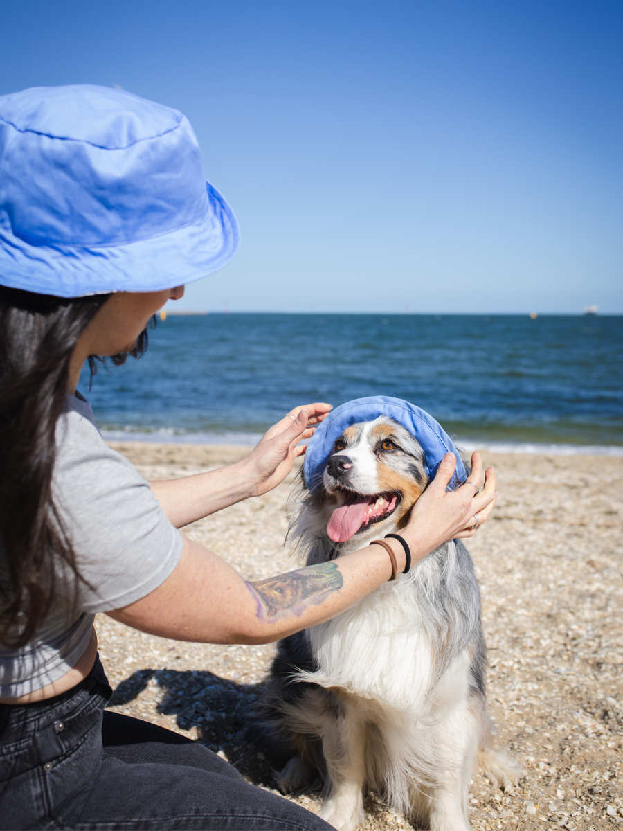 Matching Dog and Owner Puppy News Reversible Bucket Hats