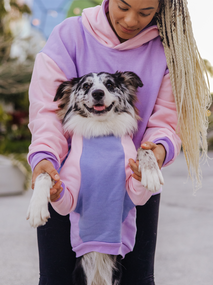 Matching dog 2025 and owner sweatshirts