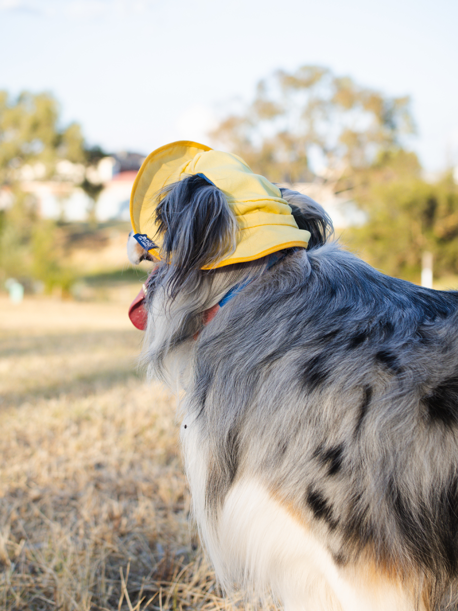 80s Dog Reversible Bucket Hat