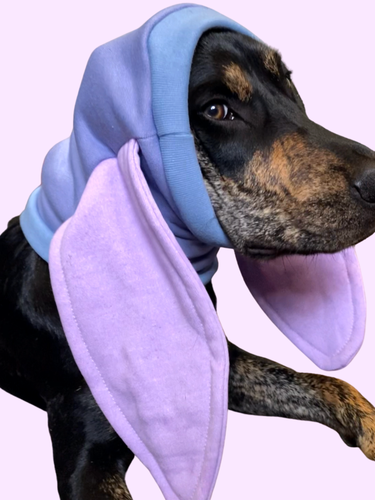 Purple Bunny Snood Dog Costume