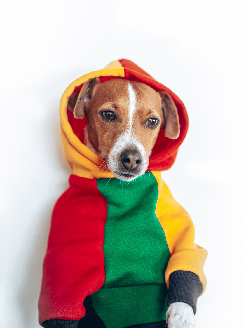 Barkstreet Bois Dog Hoodie