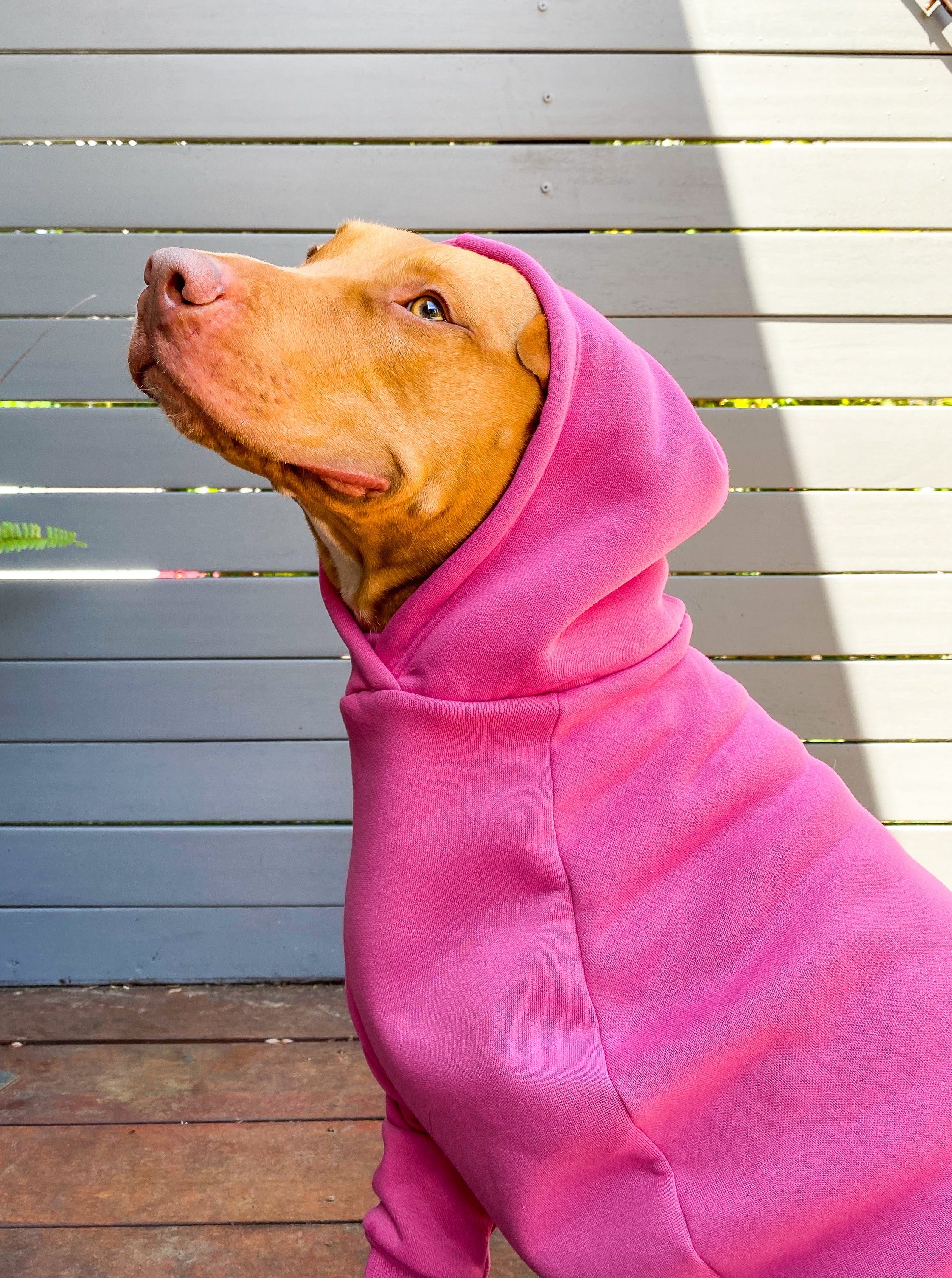 PINK PAWNTHER HOODIE