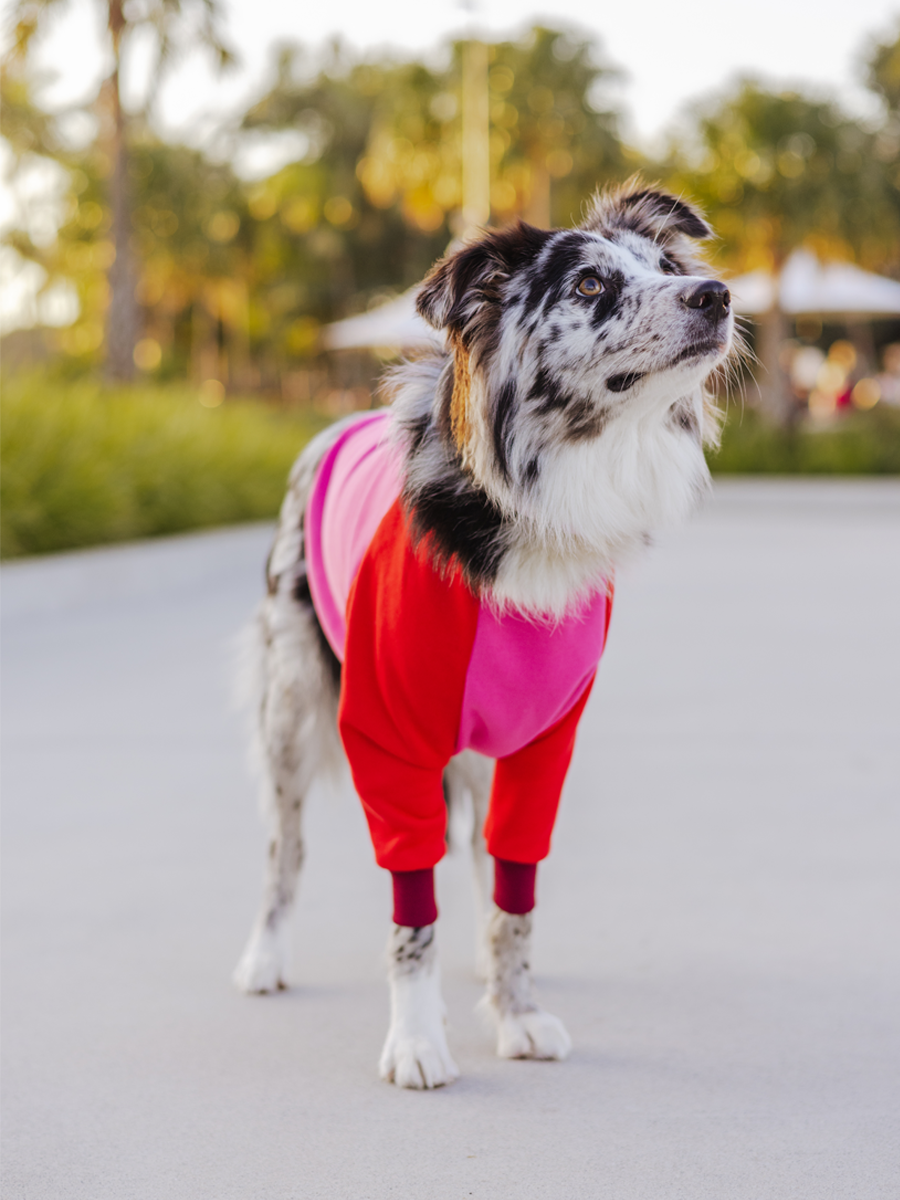 Pretty in Pink Crewneck