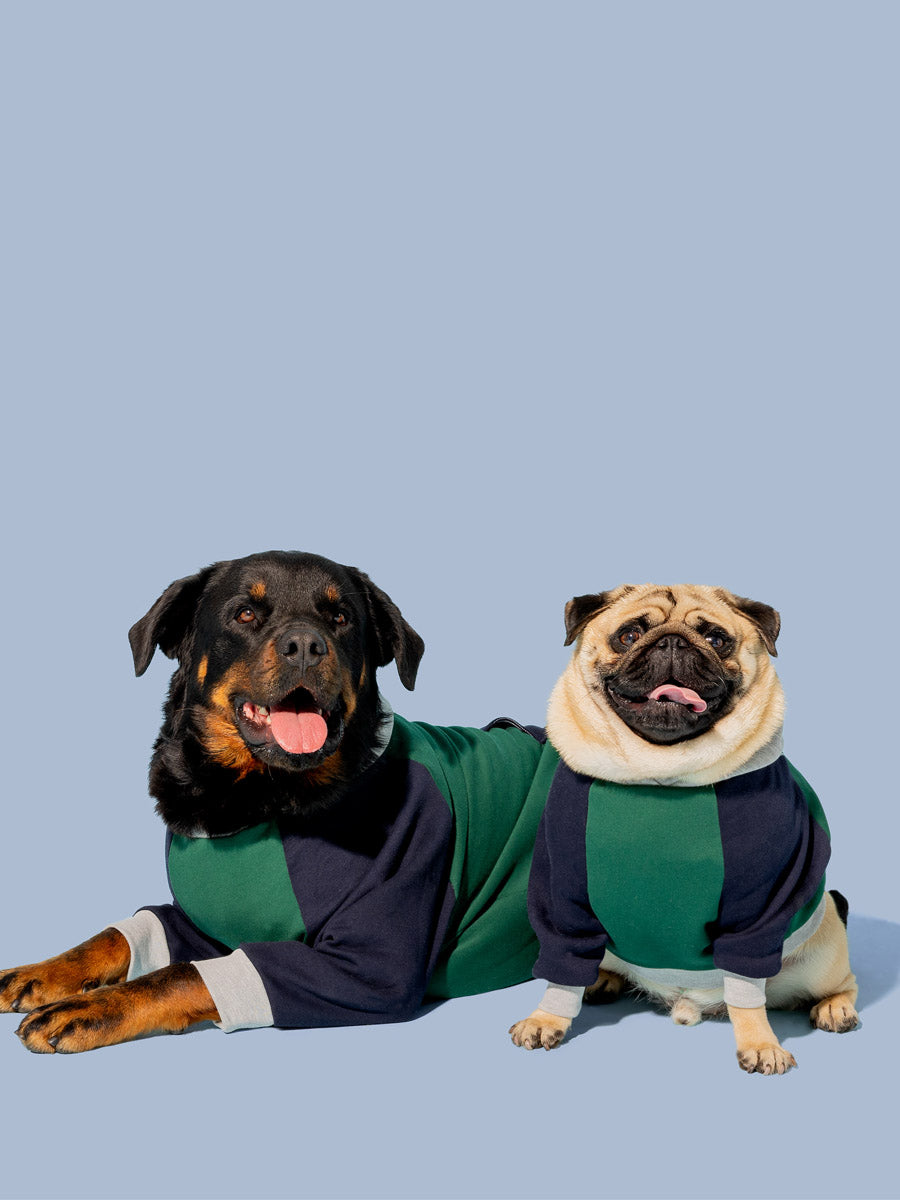 Bois Meets World Hoodie