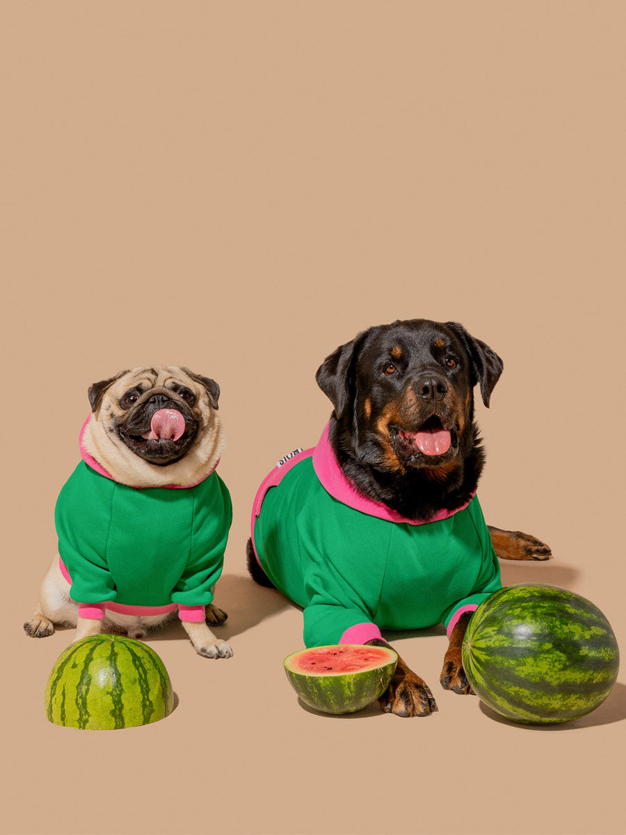 Watermelon Sugar Hoodie