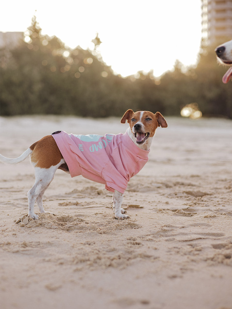 Dusty Pink Surf Camp Dog Tshirt